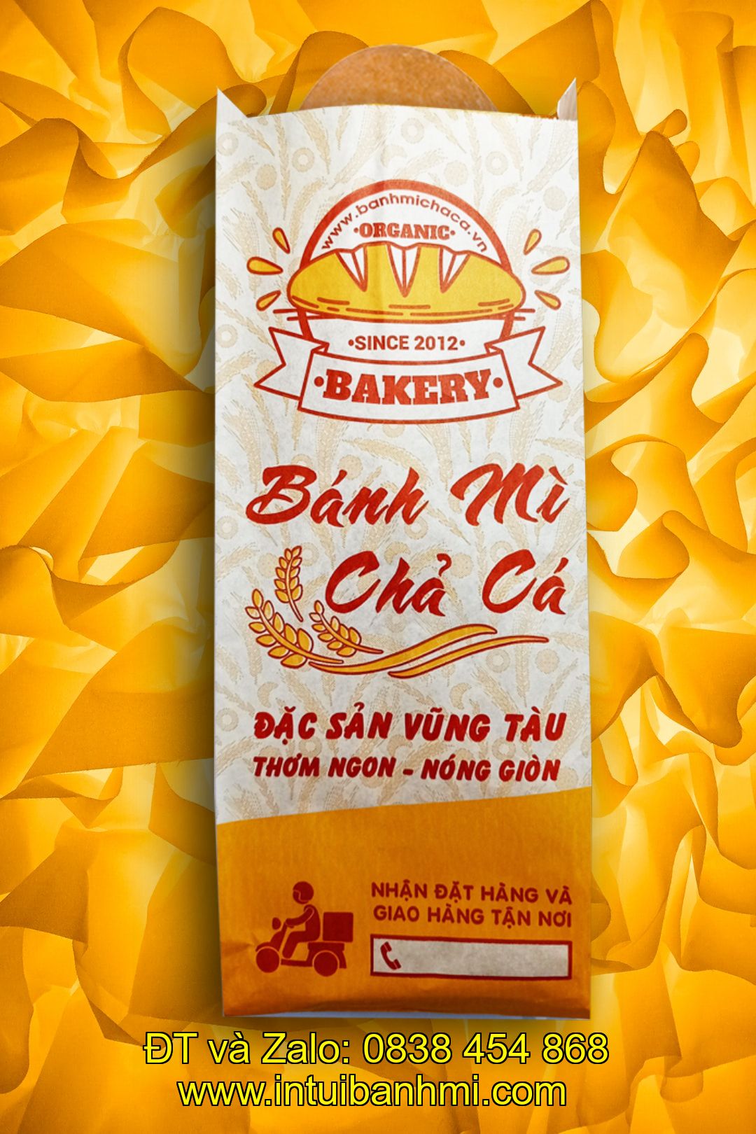 Bao bì giấy sử dụng để làm gì