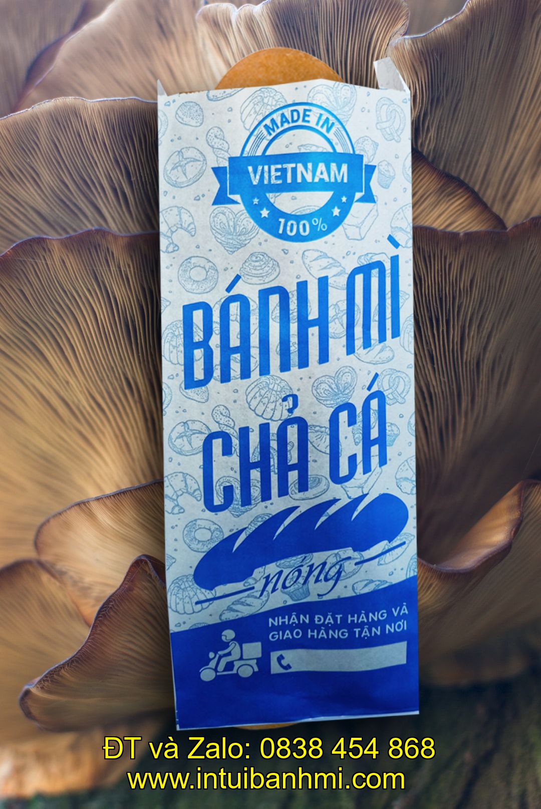 Đơn giản hóa trong thiết kế, để thương hiệu lên tiếng