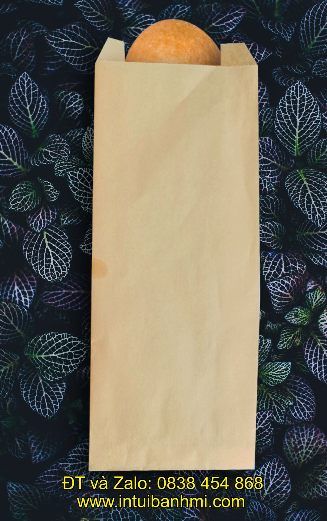 In túi giấy đựng bánh mì bảo vệ môi trường ở đâu?