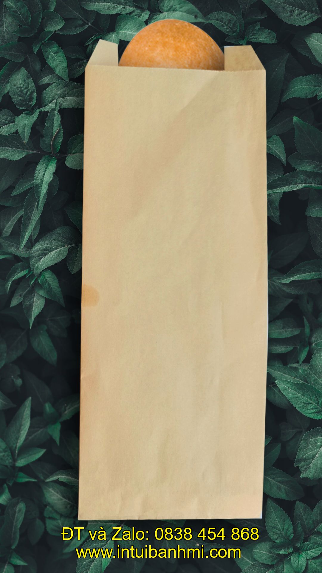 Một vài loại giấy in ấn túi đựng bánh mì tốt nhất hiện nay