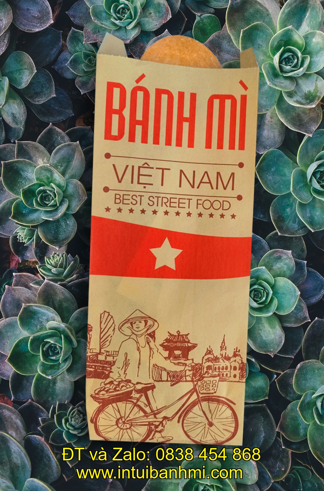 Ở cơ sở nào  đáp ứng các loại bao bì chứa đựng bánh mì tốt nhất hiện nay?