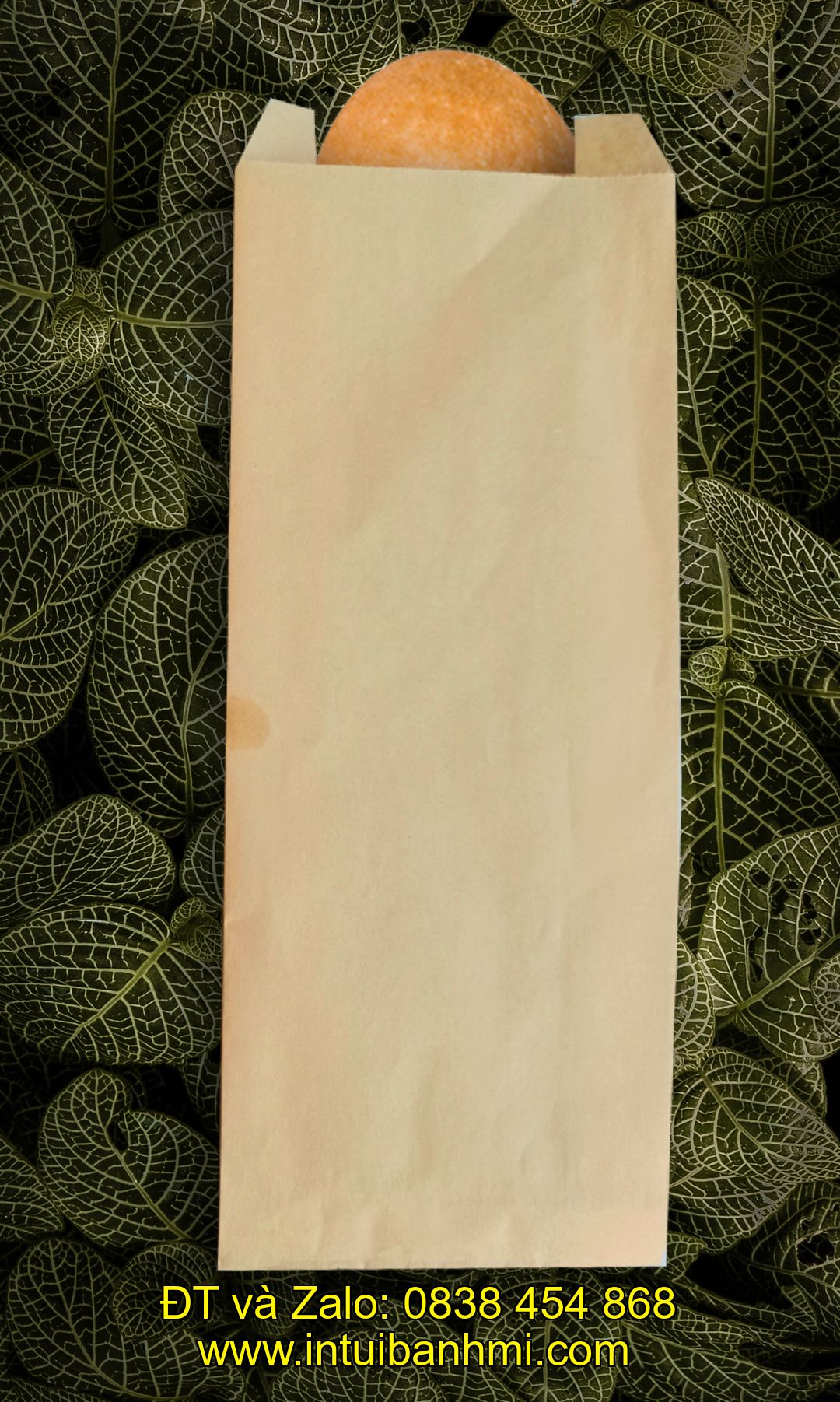 quangngai.intuibanhmi.com – cơ sở uy tín đem lại sản phẩm đạt chất lượng